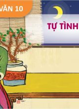 Tự tình - Ngữ văn 10  -  Hoc10